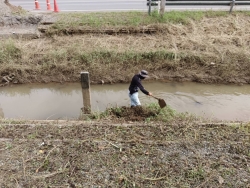 2.jpg - จัดเตรียมสถานที่จัดงานโครงการสืบสานประเพณียี่เป็ง วันลอยกระทง ประจำปี 2568 | https://www.sanpatong.go.th