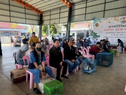 S__13443085.jpg - เทศบาลตำบลสันป่าตอง ร่วมกับมูลนิธิ แฮนด์ ทู พอว์  จัดกิจกรรมการควบคุมประชากรสัตว์ โดยการผ่าตัดทำหมันแมว ตามโครงการรณรงค์ป้องกันโรคพิษสุนัขบ้า ภายใต้โครงการสัตว์ปลอดโรค คนปลอดภัยฯ ประจำปี 2569  ณ อาคาร 25 ปี เทศบาลตำบลสันป่าตอง | https://www.sanpatong.go.th