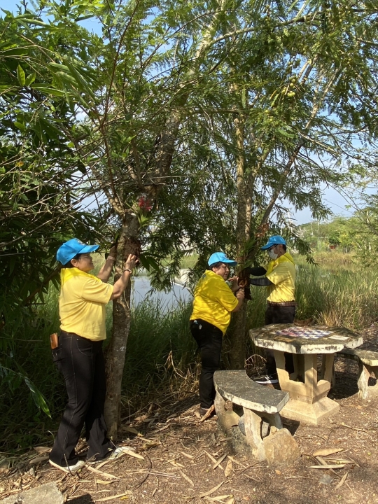 เทศบาลตำบลสันป่าตอง จัดกิจกรรมโครงการวันรักต้นไม้ประจำปีของชาติ พ.ศ.2565 ภาพที่ 21 | https://www.sanpatong.go.th