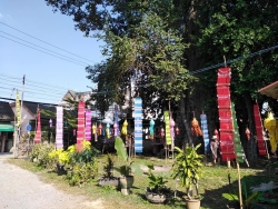 ประชาสัมพันธ์ การท่องเที่ยว ต้นมะจำโรง หมู่ที่14 และวัดสันป่าตอง วัดสันป่าตอง หมู่ที่1 ตำบลยุหว่า อำเภอสันป่าตอง จังหวัดเชียงใหม่ ภาพที่ 6 | https://www.sanpatong.go.th