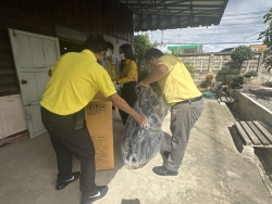 S__76275730_0.jpg -  | https://www.sanpatong.go.th