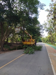 3.jpg -  กิจกรรมจิตอาสาพัฒนาแหล่งท่องเที่ยว บริเวณอ่างเก็บน้ำหนองสะเรียม | https://www.sanpatong.go.th
