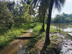 3.jpg - ขุดลอกและทำความสะอาดลำเหมืองชลประทาน บริเวณบ้านช่างกระดาษ หมู่ที่ 1 ตำบลทุ่งต้อม | https://www.sanpatong.go.th