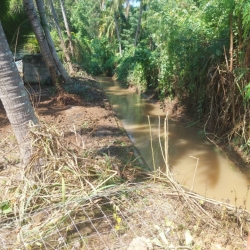 4.jpg - ขุดลอกและทำความสะอาดลำเหมืองชลประทาน บริเวณบ้านช่างกระดาษ หมู่ที่ 1 ตำบลทุ่งต้อม | https://www.sanpatong.go.th