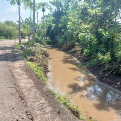 6.jpg - ขุดลอกและทำความสะอาดลำเหมืองชลประทาน บริเวณบ้านช่างกระดาษ หมู่ที่ 1 ตำบลทุ่งต้อม | https://www.sanpatong.go.th