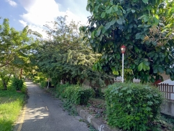 1.jpg - ซ่อมแซมไฟฟ้าสาธารณะ ภายในเขตเทศบาลตำบลสันป่าตอง | https://www.sanpatong.go.th