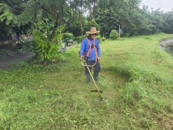 35979.jpg - งานสวนสาธารณะ กองช่าง ได้ดำเนินการทำความสะอาดกำจัดวัชพืช สวนสาธารณะภายในบริเวณเขตเทศบาลตำบลสันป่าตอง | https://www.sanpatong.go.th