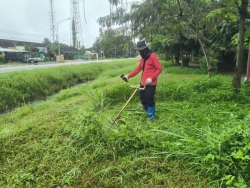 35981.jpg - งานสวนสาธารณะ กองช่าง ได้ดำเนินการทำความสะอาดกำจัดวัชพืช สวนสาธารณะภายในบริเวณเขตเทศบาลตำบลสันป่าตอง | https://www.sanpatong.go.th