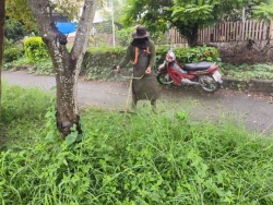 35982.jpg - งานสวนสาธารณะ กองช่าง ได้ดำเนินการทำความสะอาดกำจัดวัชพืช สวนสาธารณะภายในบริเวณเขตเทศบาลตำบลสันป่าตอง | https://www.sanpatong.go.th