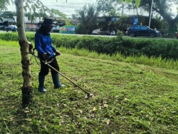 35984.jpg - งานสวนสาธารณะ กองช่าง ได้ดำเนินการทำความสะอาดกำจัดวัชพืช สวนสาธารณะภายในบริเวณเขตเทศบาลตำบลสันป่าตอง | https://www.sanpatong.go.th