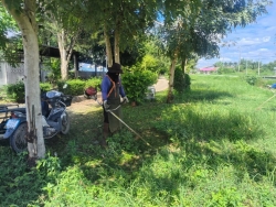 35987.jpg - งานสวนสาธารณะ กองช่าง ได้ดำเนินการทำความสะอาดกำจัดวัชพืช สวนสาธารณะภายในบริเวณเขตเทศบาลตำบลสันป่าตอง | https://www.sanpatong.go.th