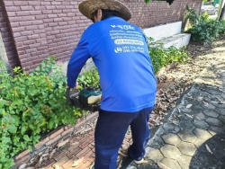 36445.jpg - งานสวนสาธารณะ กองช่าง ได้ดำเนินการทำความสะอาดกำจัดวัชพืช สวนสาธารณะบริเวณกาดสลีบัวตอง และบริเวณตรงข้ามศาลเจ้าสลีบัวตอง | https://www.sanpatong.go.th