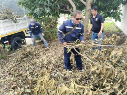 36898.jpg - กองช่าง เทศบาลตำบลสันป่าตองได้ร่วมกันดำเนินการตัดแต่งกิ่งไม้ บริเวณ ริมคลองชลประทาน | https://www.sanpatong.go.th