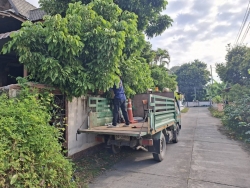 33798.jpg - งานป้องกันและบรรเทาสาธารณภัยร่วมงานกองสาธารณสุข ร่วมกันตัดกิ่งไม้ที่ยื่นกีดขวามการจราจร เพื่อเป็นการลดอุบัติเหตุ | https://www.sanpatong.go.th