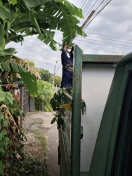 33800.jpg - งานป้องกันและบรรเทาสาธารณภัยร่วมงานกองสาธารณสุข ร่วมกันตัดกิ่งไม้ที่ยื่นกีดขวามการจราจร เพื่อเป็นการลดอุบัติเหตุ | https://www.sanpatong.go.th