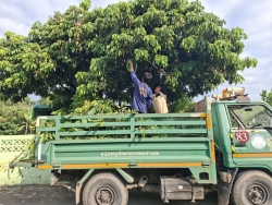 33804.jpg - งานป้องกันและบรรเทาสาธารณภัยร่วมงานกองสาธารณสุข ร่วมกันตัดกิ่งไม้ที่ยื่นกีดขวามการจราจร เพื่อเป็นการลดอุบัติเหตุ | https://www.sanpatong.go.th