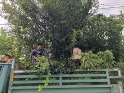 33807.jpg - งานป้องกันและบรรเทาสาธารณภัยร่วมงานกองสาธารณสุข ร่วมกันตัดกิ่งไม้ที่ยื่นกีดขวามการจราจร เพื่อเป็นการลดอุบัติเหตุ | https://www.sanpatong.go.th