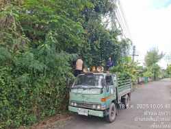 33811.jpg - งานป้องกันและบรรเทาสาธารณภัยร่วมงานกองสาธารณสุข ร่วมกันตัดกิ่งไม้ที่ยื่นกีดขวามการจราจร เพื่อเป็นการลดอุบัติเหตุ | https://www.sanpatong.go.th