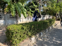 41530.jpg - กองช่าง เทศบาลตำบลสันป่าตอง ได้ดำเนินการตัดแต่งกิ่ง ต้นไม้ บริเวณสวนสาธารณะภายในเขตเทศบาลตำบลสันป่าตอง | https://www.sanpatong.go.th