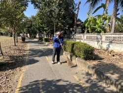 41531.jpg - กองช่าง เทศบาลตำบลสันป่าตอง ได้ดำเนินการตัดแต่งกิ่ง ต้นไม้ บริเวณสวนสาธารณะภายในเขตเทศบาลตำบลสันป่าตอง | https://www.sanpatong.go.th