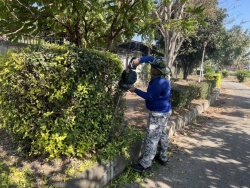 41539.jpg - กองช่าง เทศบาลตำบลสันป่าตอง ได้ดำเนินการตัดแต่งกิ่ง ต้นไม้ บริเวณสวนสาธารณะภายในเขตเทศบาลตำบลสันป่าตอง | https://www.sanpatong.go.th