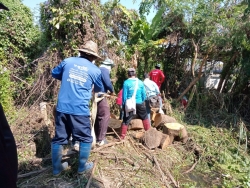 1.jpg - ตัดต้นไม้พื้นที่สาธารณะ ภายในเขตเทศบาลตำบลสันป่าตอง ตามคำร้องทั่วไป | https://www.sanpatong.go.th