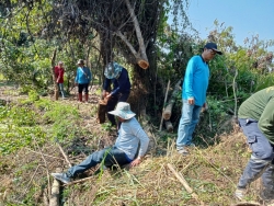 2.jpg - ตัดต้นไม้พื้นที่สาธารณะ ภายในเขตเทศบาลตำบลสันป่าตอง ตามคำร้องทั่วไป | https://www.sanpatong.go.th