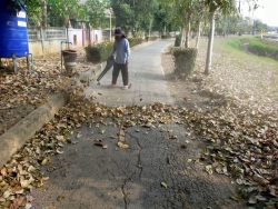 42875.jpg - เทศบาลตำบลสันป่าตอง พร้อมกับกองช่าง ได้ดูแลทำความสะอาดบริเวณสวนสาธารณะภายในเขตเทศบาลตำบลสันป่าตอง | https://www.sanpatong.go.th