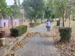 42876.jpg - เทศบาลตำบลสันป่าตอง พร้อมกับกองช่าง ได้ดูแลทำความสะอาดบริเวณสวนสาธารณะภายในเขตเทศบาลตำบลสันป่าตอง | https://www.sanpatong.go.th