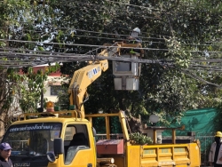 35093.jpg - การปรับปรุงภูมิทัศน์สายสื่อสารต้นไม้ เพื่อความปลอดภัยระหว่างเทศบาลตำบลสันป่าตอง กับ การไฟฟ้าส่วนภูมิภาคสันป่าตอง  | https://www.sanpatong.go.th