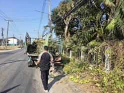 35098.jpg - การปรับปรุงภูมิทัศน์สายสื่อสารต้นไม้ เพื่อความปลอดภัยระหว่างเทศบาลตำบลสันป่าตอง กับ การไฟฟ้าส่วนภูมิภาคสันป่าตอง  | https://www.sanpatong.go.th