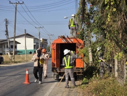 35100.jpg - การปรับปรุงภูมิทัศน์สายสื่อสารต้นไม้ เพื่อความปลอดภัยระหว่างเทศบาลตำบลสันป่าตอง กับ การไฟฟ้าส่วนภูมิภาคสันป่าตอง  | https://www.sanpatong.go.th