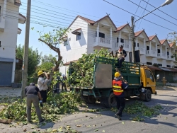 41642.jpg - การปรับปรุงภูมิทัศน์สายสื่อสารต้นไม้ เพื่อความปลอดภัยระหว่างเทศบาลตำบลสันป่าตอง กับ การไฟฟ้าส่วนภูมิภาคสันป่าตอง  | https://www.sanpatong.go.th