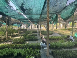 S__97001480.jpg - เทศบาลตำบลสันป่าตอง พร้อมกับฝ่ายแผนงานและงบประมาณ เดินทางมารับกล้าไม้ และพืชสมุนไพรที่ห้วยฮ่องไคร้  อำเภอดอยสะเก็ด | https://www.sanpatong.go.th