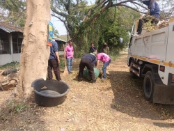 43805.jpg - เทศบาลตำบลสันป่าตอง ได้ร่วมกับกองช่าง ได้ดำเนินการทำความสะอาด เก็บกวาดใบไม้ บริเวณโรงฆ่าสัตว์ | https://www.sanpatong.go.th