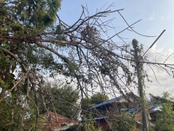 S__129343541.jpg - เทศบาลตำบลสันป่าตอง ร่วมกับงานป้องกันและบรรเทาสาธารรภัยได้ดำเนินการแก้ไขปัญหา กรณีต้นไม้หักพาดสายไฟ | https://www.sanpatong.go.th