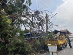 S__129343543.jpg - เทศบาลตำบลสันป่าตอง ร่วมกับงานป้องกันและบรรเทาสาธารรภัยได้ดำเนินการแก้ไขปัญหา กรณีต้นไม้หักพาดสายไฟ | https://www.sanpatong.go.th