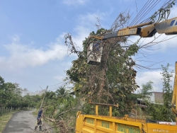 S__129343548.jpg - เทศบาลตำบลสันป่าตอง ร่วมกับงานป้องกันและบรรเทาสาธารรภัยได้ดำเนินการแก้ไขปัญหา กรณีต้นไม้หักพาดสายไฟ | https://www.sanpatong.go.th