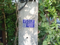 46699.jpg - เทศบาลตำบลสันป่าตองร่วมกับกองช่าง ได้ดำเนินการซ่อม แซมไฟหมู่บ้านสิริเชียงใหม่4จุด และซอย1หลังอำเภอ 1จุด | https://www.sanpatong.go.th