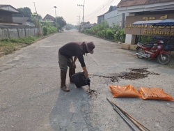 49160.jpg - เทศบาลตำบลสันป่าตองร่วมกับกองช่าง ได้ดำเนินการซ่อมแซมถนนบริเวณหน้าหมุูบ้านสิริเชียงใหม่ | https://www.sanpatong.go.th