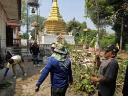 52364.jpg - เทศบาลตำบลสันป่าตอง ร่วมกับงานงานป้องกันและบรรเทาสารณภัยร่วมกับกองช่างตัดแต่งกิ่งไม้วัดกลางทุ่ง  | https://www.sanpatong.go.th