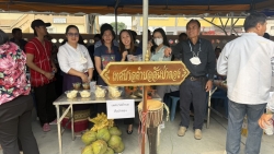 S__20348945.jpg - ร่วมพิธีรดน้ำดำหัวนายอำเภอสันป่าตอง สืบสานประเพณีสงกรานต์ 2569 | https://www.sanpatong.go.th