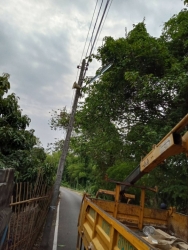 127882.jpg - เทศบาลตำบลสันป่ตอง พร้อมกับกองช่าง งานไฟฟ้าสาธารณะซ่อมไฟเปลี่ยนหลอดไฟ กำจัดวัชพืช ถ.บ้านพร้าวล้อม | https://www.sanpatong.go.th