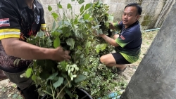 S__35143691.jpg - เทศบาลตำสันป่าตอง ร่วมกับงานป้องกันและบรรเทาสาธารณภัย สำนักปลัดเทศบาล ดำเนินการตัดกิ่งไม้และเก็บกวาดเศษไม้บริเวณด้านหลังอาคาร | https://www.sanpatong.go.th