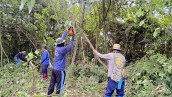 S__35643408.jpg - เทศบาลตำบลสันป่าตอง ร่วมกับงานป้องกันและบรรเทาสาธารณภัย สำนักปลัดเทศบาล ร่วมกับกองช่าง และกู้ภัยนพรัตน์ ดำเนินการตัดกิ่งไม้และหญ้าบริเวณริมคลองชุมชนบ้านหย่อน | https://www.sanpatong.go.th