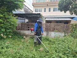 58406.jpg - เทศบาลตำบลสันป่าตอง ร่วมกับกองช่าง ได้ดำเนินการตัดหญ้า ทำความสะอาด กำจัดวัชพืช บริเวณสวนสาธารณะริมคลองชลประทาน | https://www.sanpatong.go.th
