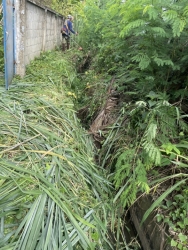 S__38420529.jpg - เทศบาลตำบลสันป่าตอง ร่วมกับงานป้องกันและบรรเทาสาธารณภัย สำนักปลัดเทศบาล   สถานที่ : บริเวณข้างร้านกาแฟควาย บ้านไร่ หมู่ที่ 5 ตำบลทุ่งต้อม อำเภอสันป่าตอง จังหวัดเชียงใหม่ (รับร้องเรียนผ่านระบบ Bellme) | https://www.sanpatong.go.th