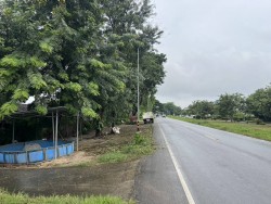 เทศบาลตำบลสันป่าตองร่วมกับกองช่าง ได้ดำเนินการตัดแต่งกิ่งไม้ บริเวณถนนริมทางคลองชลประทาน บ้านไร่ ทั้งนี้ เพื่อ ความปลอดภัย ให้ผู้ที่สัญจรไปมา ได้รับความสะดวก ปลอดภัยในการเดินทาง ภาพที่ 6 | https://www.sanpatong.go.th